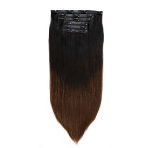 Burnette Ombre Seamless Clip In